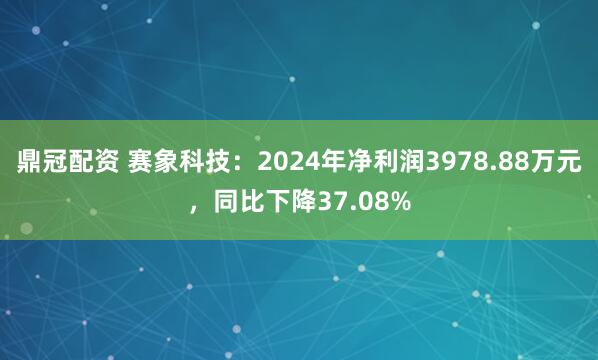 鼎冠配资 赛象科技：2024年净利润3978.88万元，同比下降37.08%