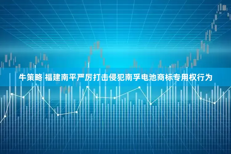 牛策略 福建南平严厉打击侵犯南孚电池商标专用权行为